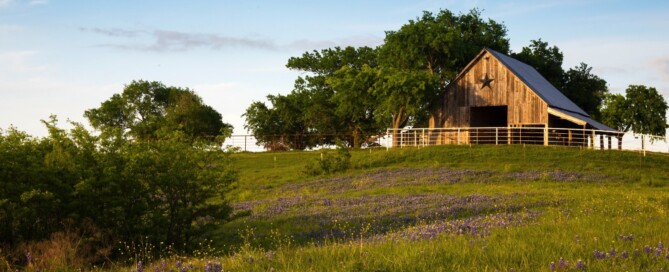 Buying Land Without Mineral Rights